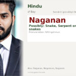 Naganan Name Meaning and Details