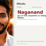Naganand Name Meaning and Details