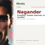 Nagander Name Meaning and Details
