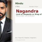 Nagandra Name Meaning and Details