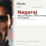 Nagaraj Name Meaning and Details