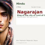 Nagarajan Name Meaning and Details