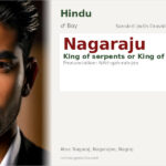 Nagaraju Name Meaning and Details