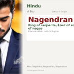 Nagendran Name Meaning and Details
