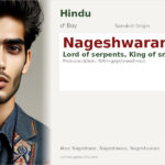 Nageshwaran Name Meaning and Details