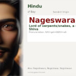 Nageswara Name Meaning and Details