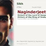 Naginderjeet Name Meaning and Details