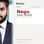 Nagu Name Meaning and Details