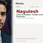 Nagulesh Name Meaning and Details