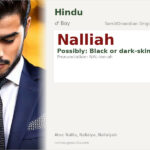 Nalliah Name Meaning and Details