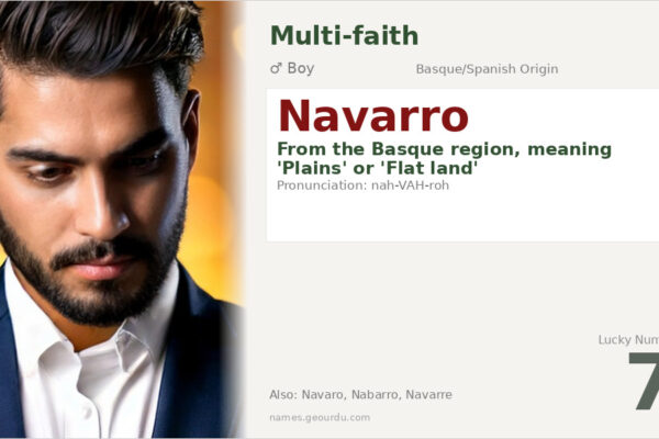 Navarro Name Meaning — Basque Origin, Boy Name & History (2025)