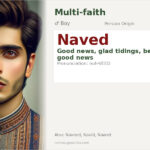 Naved Name Meaning and Details