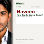 Naveen Name Meaning and Details