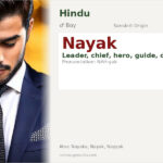 Nayak Name Meaning and Details
