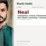 Neal Name Meaning and Details