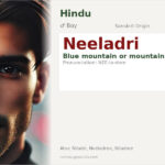 Neeladri Name Meaning and Details