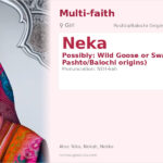 Neka Name Meaning and Details