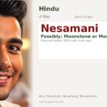 Nesamani Name Meaning and Details