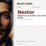 Nestor Name Meaning and Details