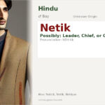Netik Name Meaning and Details