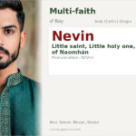 Nevin Name Meaning and Details