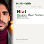 Nial Name Meaning and Details
