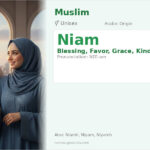 Niam Name Meaning and Details