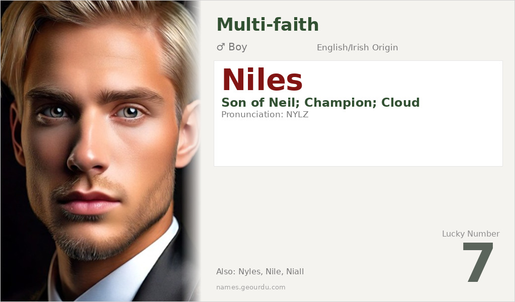 Niles Name Meaning and Details