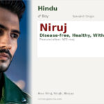 Niruj Name Meaning and Details
