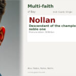 Nollan Name Meaning and Details