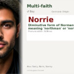 Norrie Name Meaning and Details