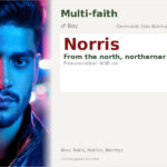 Norris Name Meaning and Details