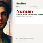 Numan Name Meaning and Details