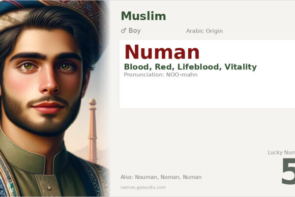 Numan Name Meaning — Arabic Origin, Boy Name & History (2025)