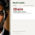 Oisin Name Meaning and Details