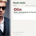 Olin Name Meaning and Details