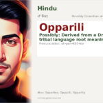 Opparili Name Meaning and Details