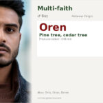 Oren Name Meaning and Details
