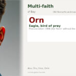 Orn Name Meaning and Details