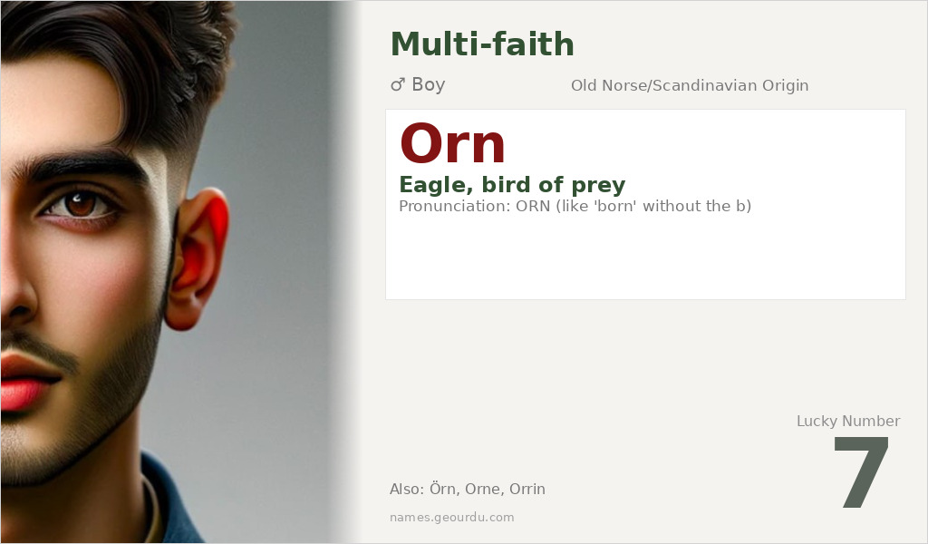 Orn Name Meaning and Details