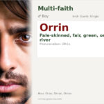 Orrin Name Meaning and Details