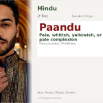 Paandu Name Meaning and Details
