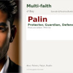 Palin Name Meaning and Details