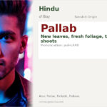 Pallab Name Meaning and Details