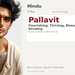 Pallavit Name Meaning and Details