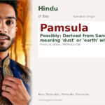 Pamsula Name Meaning and Details