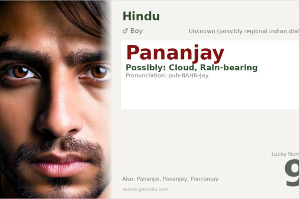 Pananjay Name Meaning — Origin, Gender & Details (2025)