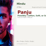Panju Name Meaning and Details
