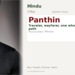 Panthin Name Meaning and Details