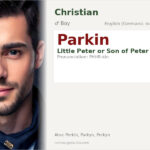 Parkin Name Meaning and Details